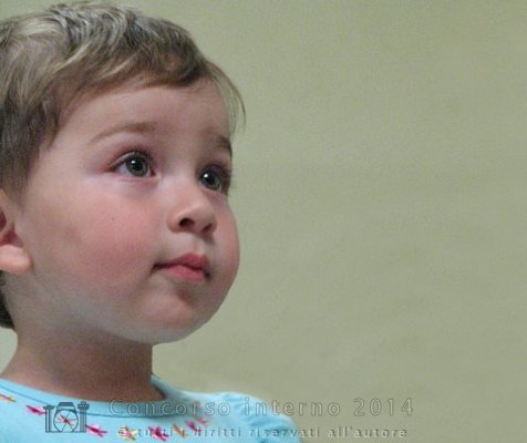 Sguardi